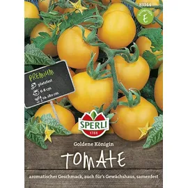 Blumen Gemüsesamen, Tomate