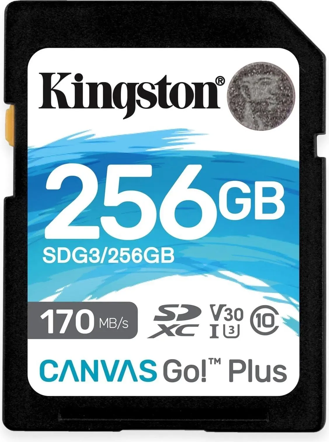 Kingston Canvas Go! Plus (SDXC, 256 GB, U3, UHS-I), Speicherkarte, Schwarz