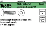 Industrial Quality Supplies ISO 14585 Form FE Flachkopf-Blechschraube VG 4,2x45 Stahl galvanisch verzinkt m. Zapfen T20