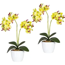 Creativ green Kunstpflanze Phalaenopsis Orchidee, Creativ green, Höhe 50 cm grün
