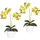 Creativ green Kunstpflanze Phalaenopsis Orchidee, Creativ green, Höhe 50 cm grün