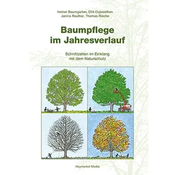 Baumpflege im Jahresverlauf – Schnittzeiten im Einklang mit dem Naturschutz