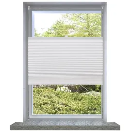 vidaXL Plissee Faltrollo 50 x 125 cm Weiß