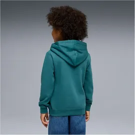 Puma Hoodie Emerald Ice 110
