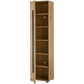 Home Affaire Cantara Garderobenschrank 50 x 39 x 201 cm braun