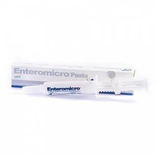 GEULINCX Enteromicro Paste 15ml (Rabatt für Stammkunden 3%)