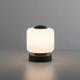 Paul Neuhaus Bota Anthrazit