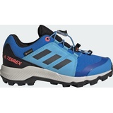 Adidas Terrex GORE-TEX Hiking Kids