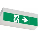 Ceag Notlichtsysteme LED-Einzelbatterie-Leuchte SV EURO4L LED 3h SET