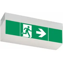 Ceag Notlichtsysteme LED-Einzelbatterie-Leuchte SV EURO4L LED 3h SET