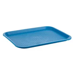 APS Tablett 4004133005396 APS