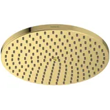Hansgrohe Raindance S Kopfbrause 28821990