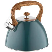 Florina FRANK 2,5 l Dunkelgrün Matt