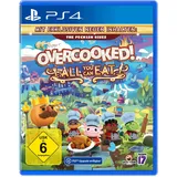 Overcooked! All You Can Eat