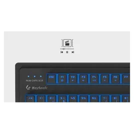 KeySonic KSK-8202ELU-T Trackball DE