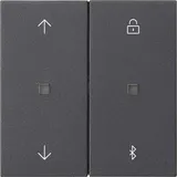 Gira Jalousie- Schaltuhr Bluetooth Anthrazit