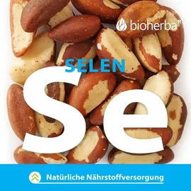 bioherba reichenbach gmbh ood BIOHERBA Maca Extrakt Kapseln 100 Kapseln