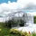 baumera Klasika Greenhouses Gewächshaus Easy Klasika (Außenmaß inkl. Dachüberstand (B x T): 300 x 200 cm, Material Seitenwand: Kunststoff, 4 mm, Silbergrau)