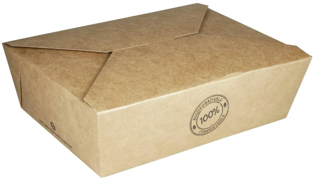 BIO Take-Away Boxen Menüboxen ToGo aus Karton, 17.2x14x6.4cm, 25 Stk.