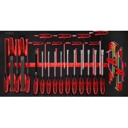 KS Tools Schraubendreher- - und Feilen-Satz in Schaumstoffeinlage, 42-tlg - 813.0042