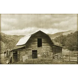 Fototapete PAPERMOON "VINTAGE-NATUR LANDSCHAFT SCHWARZ WEIßBÄUME WANDBILD", bunt, B:3,00m L:2,23m, Vlies, Tapeten