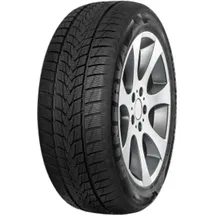 MINERVA Frostrack UHP 225/55 R17 97H