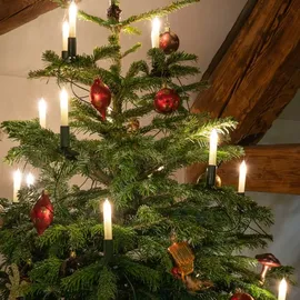 Hellum Lichterkette Schaftkerze 15 Kerzen klar für innen Schaft/Kabel grün 12,8m elfenbein