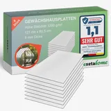 Exeta 8x Gewächshausplatten 8mm I Polycarbonat Hohlkammerplatten für Gewächshäuser I PC Doppelstegplatten UV-beständig & bruchsicher I für Garten, Frühbeet uvm I 60,5cm x 121cm I Transparent