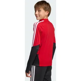 adidas Deutschland Sweatshirt 2026 rot Kinder Gr. 152