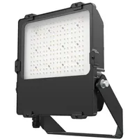 Dotlux LED-Fluter 4866-150015