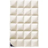 billerbeck Belvedere Kassette II