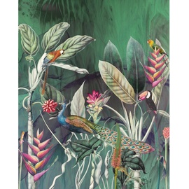 KOMAR Fototapete Vlies Jungle Chat 200 x 250 cm