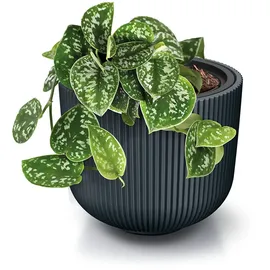 Prosperplast Milly 39,1 x 39,1 x 32,1 cm Grau