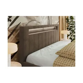 MKS Gold 5 Classic 180 x 200 cm Braun