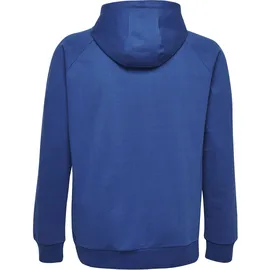 hummel Go Kids Cotton Logo Hoodie (203512)