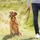 Trixie Top Trainer Trainingsgeschirr Schwarz S