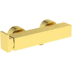 Brausearmatur Aufputz Extra Brushed Gold