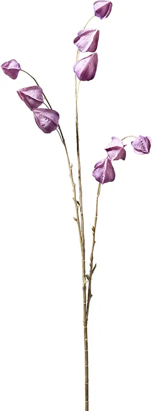 Physalis Zweig x3 96cm lavendel