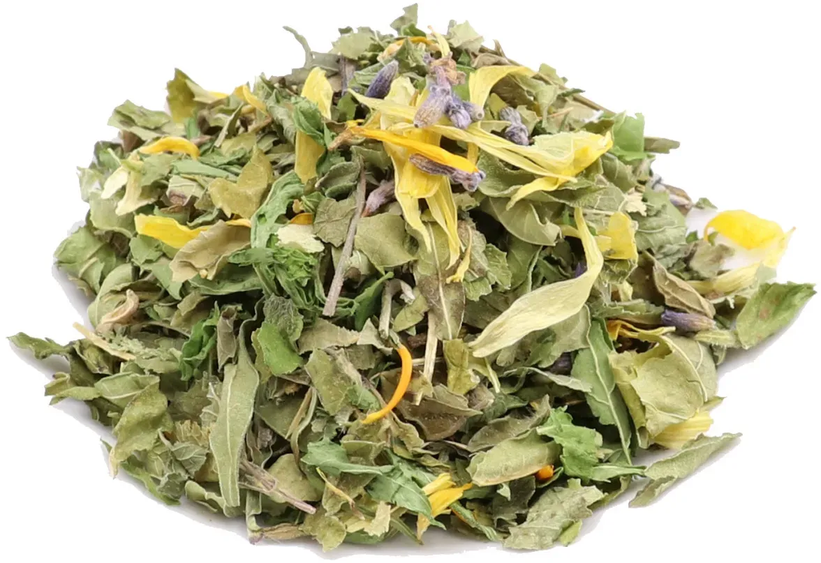 Traumparadies Kräutertee bio (0.05kg)