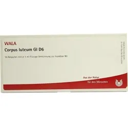 Corpus Luteum Gl D6 Ampullen