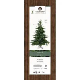Kaemingk Weihnachtsbaum Grandis Tanne 681454 - grün