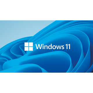 Microsoft Windows 11 Pro DVD DSP/SB EN