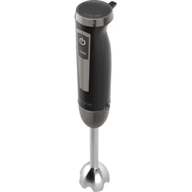 Aiwa Kenkiri 1500 Plus Stabmixer