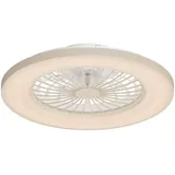 Ledvion - Deckenventilator mit beleuchtung, 48W, 3 Lichtfarben, Beige, 2700K - 4000K - 6000K, Mit Fernbedienung Dimmbar, Deckenventilator mit Beleuchtung