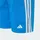 adidas 3-Streifen Kids Badeshorts Blau/Weiß 116
