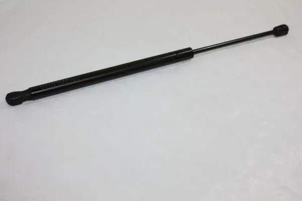 AUTOMEGA Gasfeder, Koffer-/Laderaum 100100310 beidseitig für Opel GM