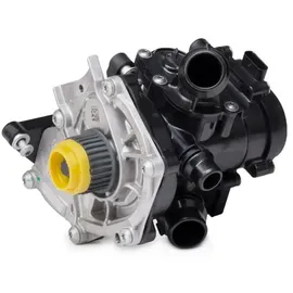 Hepu P673