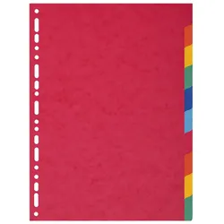 Exacompta Register aus Manilakarton 225g/qm, 10 Positionen, für Format DIN A4
