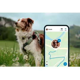 tractive GPS Tracker Hund XL wasserdicht grün