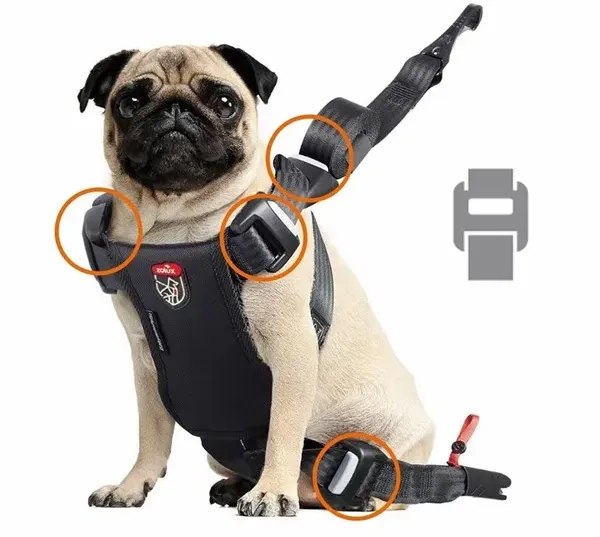 Travel Safe Isofix Car Safety Harness Red Medium 14-26kg